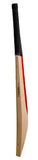 Gray-Nicolls 50th Anniversay Limited Edition Cricket Bat