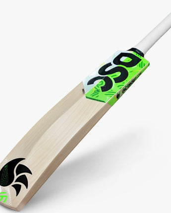DSC Spliit 550 Cricket Bat