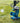 Paceman Pitch Attack Blaster