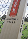 Gray-Nicolls Powerspot Cricket Bat