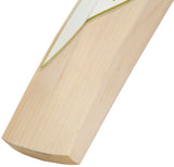 SG Sunny Gold Classic Original LE Bat