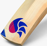 DSC Intense Speed Cricket Bat