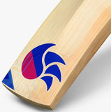 DSC Intense Vigor Cricket Bat