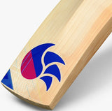 DSC Intense Attitude Junior Cricket Bat