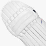 DSC Intense Passion Batting Pads