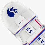 DSC Intense Passion Batting Pads