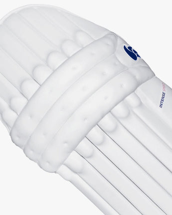 DSC Intense Speed Batting Pads