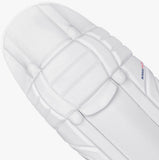 DSC Intense Valor Batting Pads