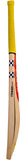 Gray-Nicolls Ultra Bat