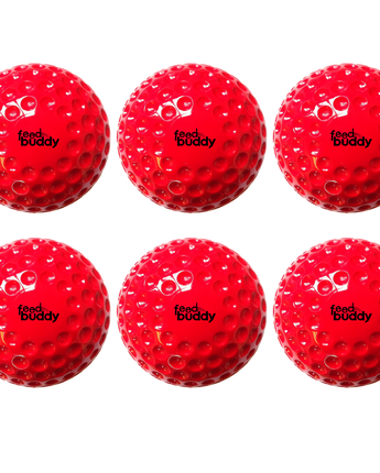 Feed Buddy Balls