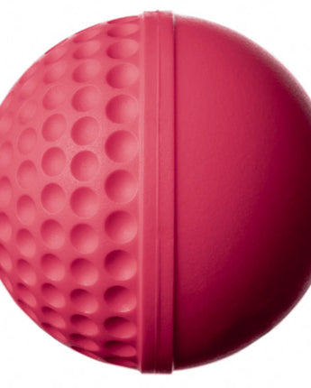 Swinga Ball (Pink)