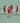 Agility Cross Ladder