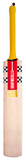 Gray-Nicolls Falcon 1200 Bat