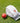 Gray-Nicolls Silver Batting Gloves