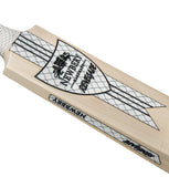 Newbery Renegade Player Cricket Bat