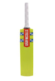 Gray-Nicolls Super Cloud Catcher Coaches Bat