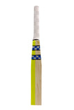 Gray-Nicolls Super Cloud Catcher Coaches Bat