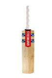 Gray-Nicolls Super Cloud Catcher Coaches Bat