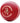 Kookaburra Regulation Red Cricket Ball